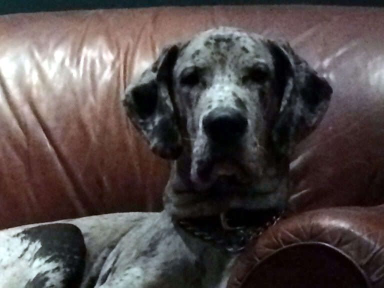 138953-work-FBD - Slowtwitch News