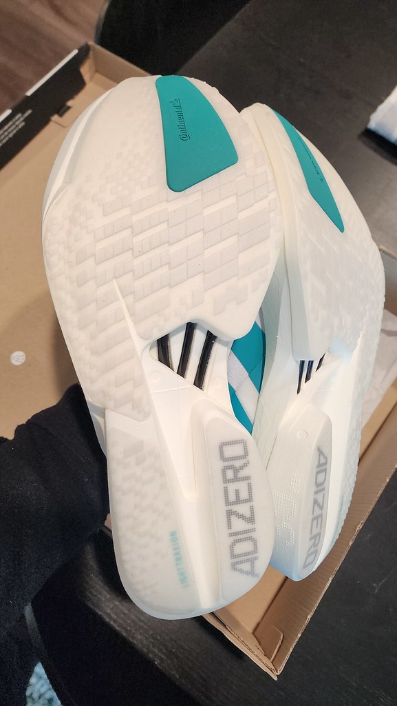 55233832772_13661c5ae2_b-1