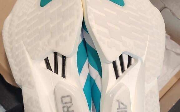 55234884093_4bee86f3f4_b-1