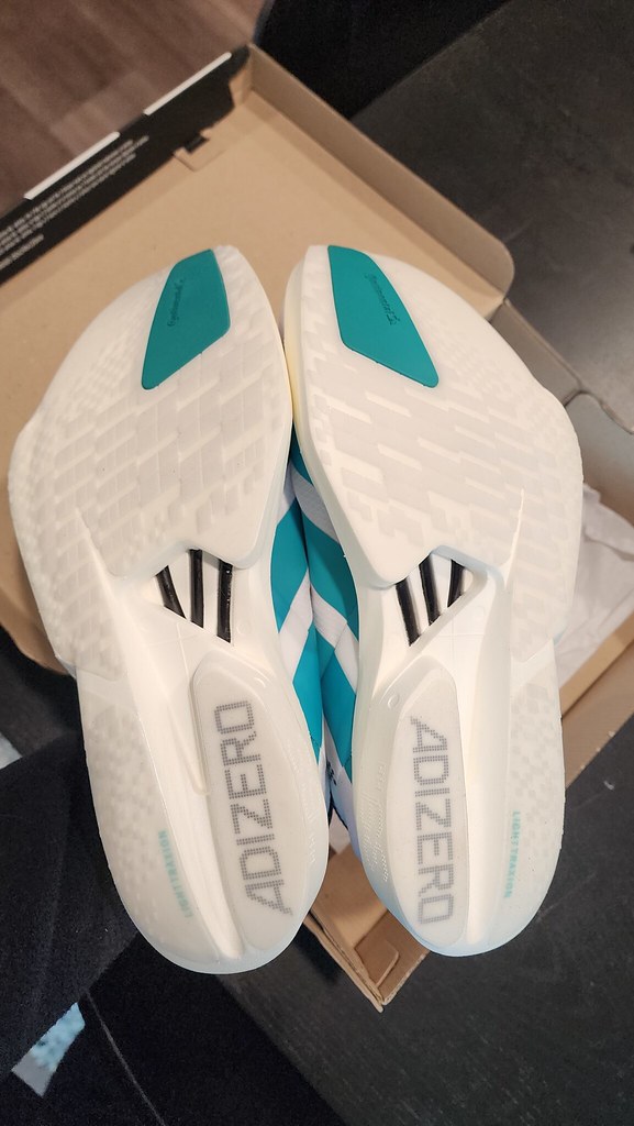 55234884093_4bee86f3f4_b-1