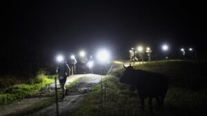 2026-UTMB-night.png